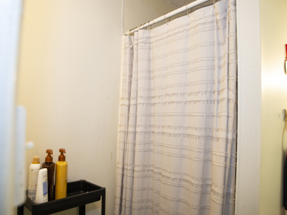 110 N. Congress Apt. 3