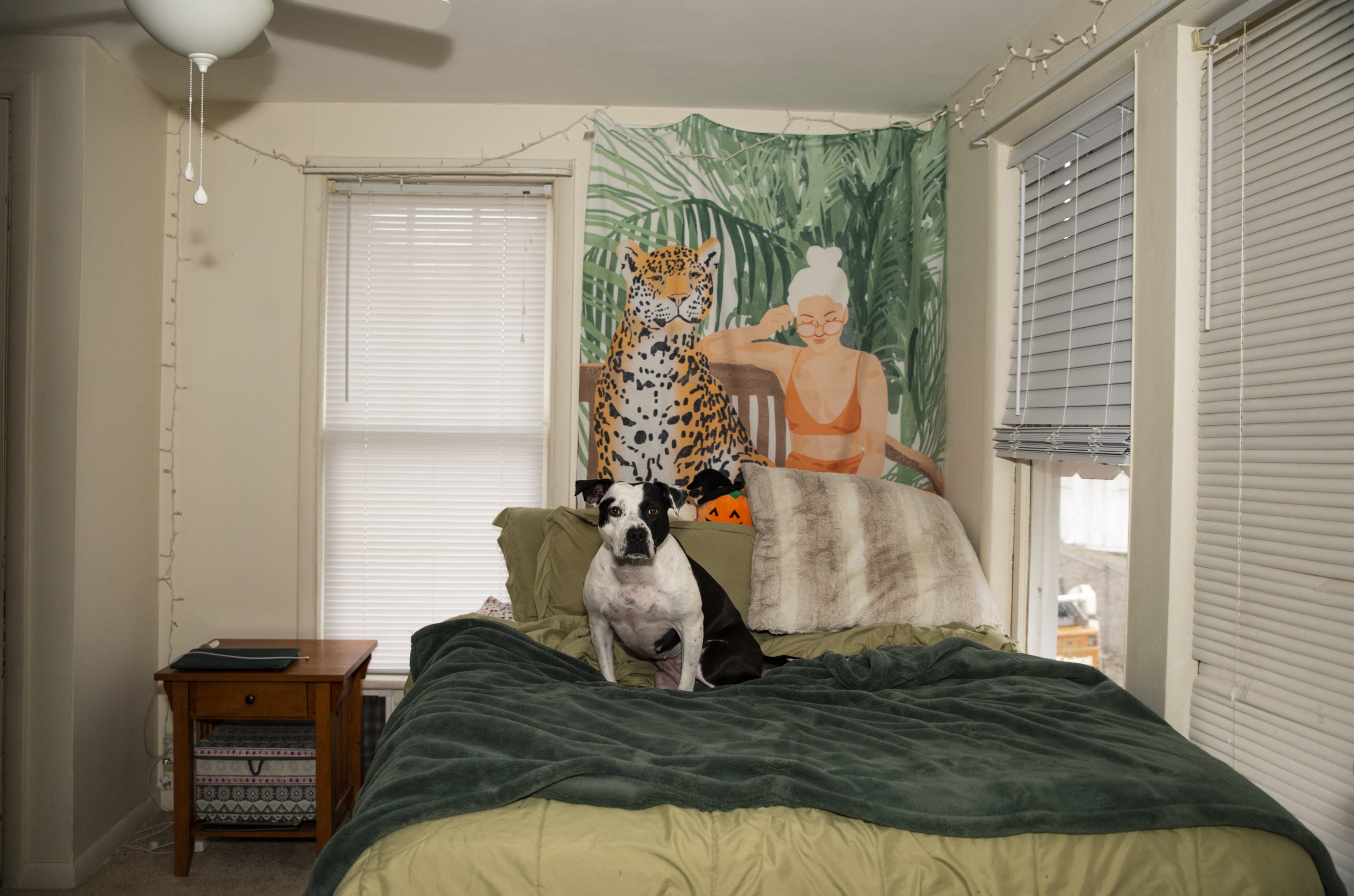 Best Of Athens Rentals 35 1/2 Stimson Ave.