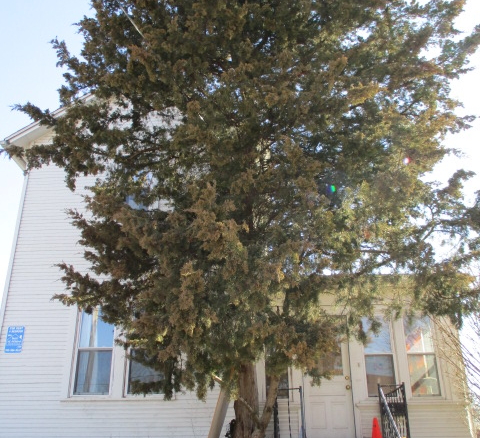 21 Stimson Avenue