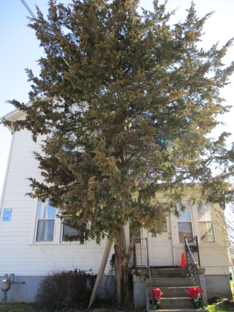 21 Stimson Avenue
