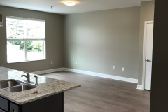 12 East Carpenter Flat 203